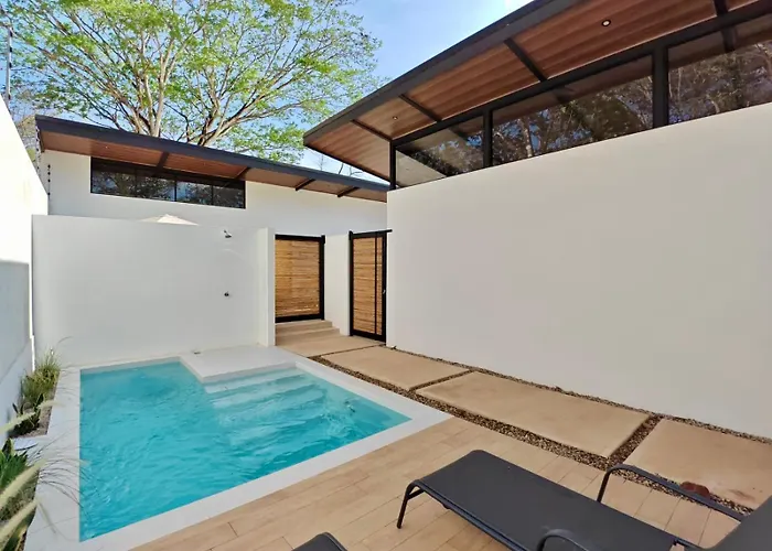 Blissful Homes *